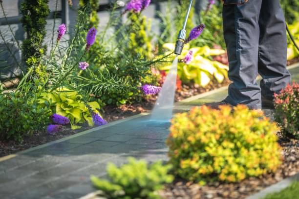 Best Animal Enclosure Cleaning  in Elizabeth, NJ